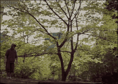 Purzelbaum – Für Anfänger 
