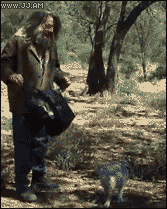 Ratbeber – Wie kann man schnell ein Känguru fangen 