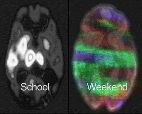 Wochenende – ist Kaugummi fürs Gehirn. 