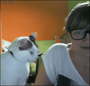 Katze: Was für eine hässliche Brille! – Sie: Oooooo wie süß! 