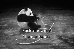 Sogar der Panda hat verstanden, dass das Leben zu kurz ist – um es für unnötigen Scheiß zu vergeuden ... und was ist mit Dir? 