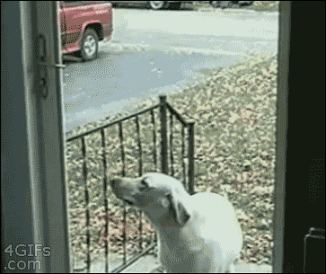 Bitte, lass mich rein! –  
