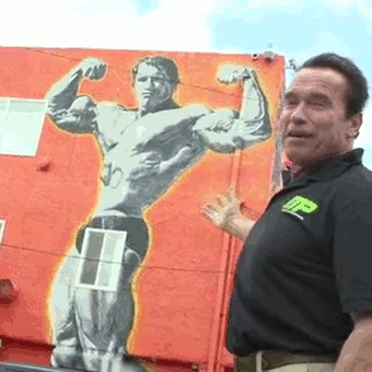 Arnie – hat immer noch ein paar tricks drauf 