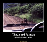 Timon und Pumbaa – Jahrelang vor Paparazzi versteckt 