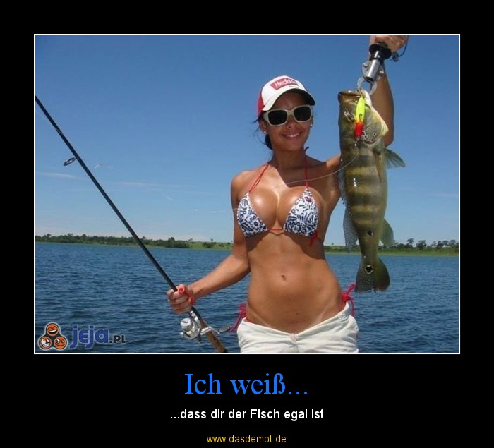 Ich weiß... – ...dass dir der Fisch egal ist 