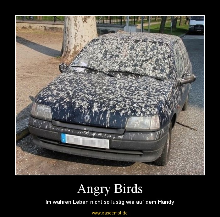 Angry Birds – Im wahren Leben nicht so lustig wie auf dem Handy 