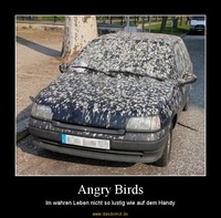 Angry Birds – Im wahren Leben nicht so lustig wie auf dem Handy 