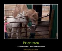 Prioriteten – 1. Foto machen 2. Kind vor Kamel retten 