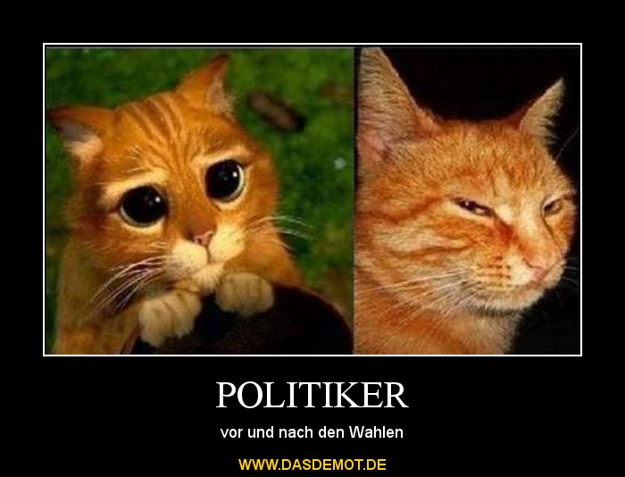 POLITIKER – vor und nach den Wahlen 