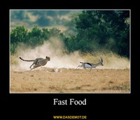Fast Food –  