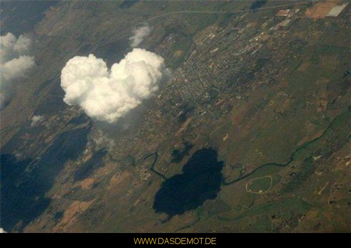 Love is in the air... –  