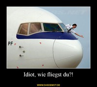 Idiot, wie fliegst du?! –  