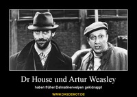 Dr House und Artur Weasley – haben früher Dalmatinerwelpen gekidnappt 