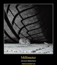 Millimeter – sind auch Meilensteine 