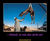 - Ahmed, tu mir das nicht an! –  