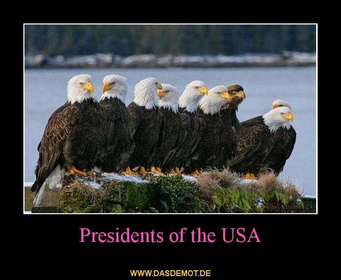Presidents of the USA –  