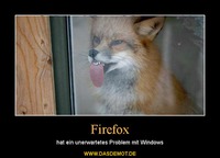 Firefox – hat ein unerwartetes Problem mit Windows 