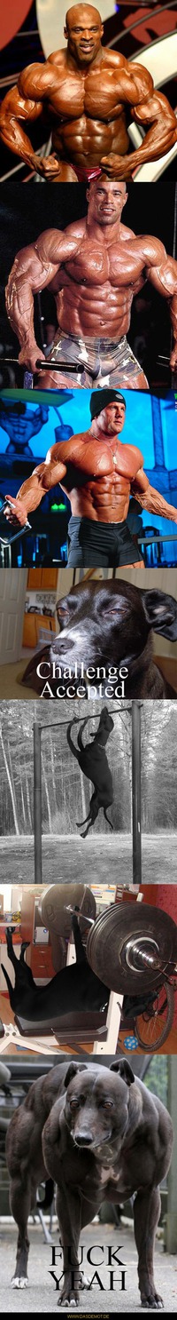 Challenge accepted –  
