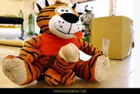 Böser Tiger! –  