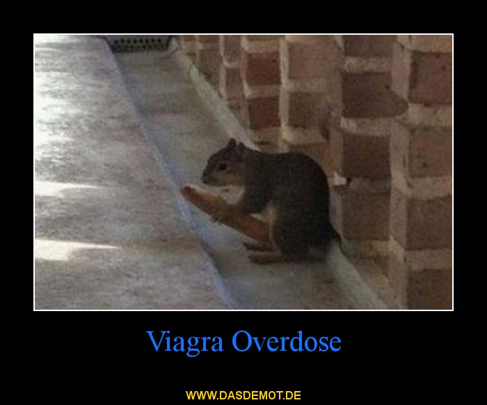 Viagra Overdose –  