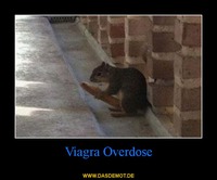 Viagra Overdose –  