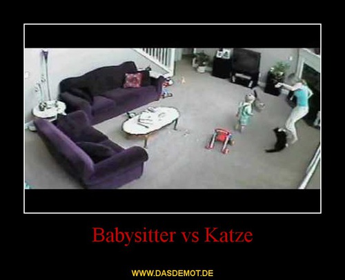Babysitter vs Katze –  
