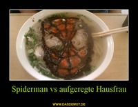 Spiderman vs aufgeregte Hausfrau –  