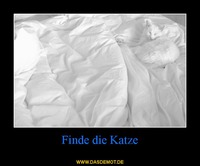 Finde die Katze –  