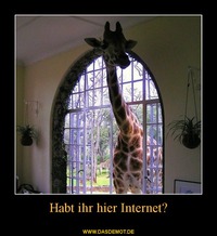Habt ihr hier Internet? –  