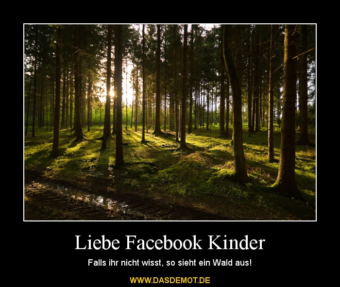 Liebe Facebook Kinder – Falls ihr nicht wisst, so sieht ein Wald aus! 