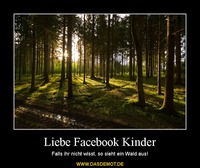Liebe Facebook Kinder – Falls ihr nicht wisst, so sieht ein Wald aus! 
