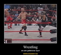 Wrestling – ein sehr gefährlicher Sport 