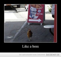 Like a boss –  