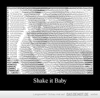 Shake it Baby –  