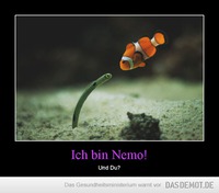 Ich bin Nemo! – Und Du? 
