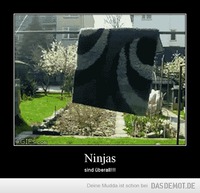 Ninjas – sind überall!!! 