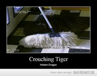 Crouching Tiger – Hidden Dragon 