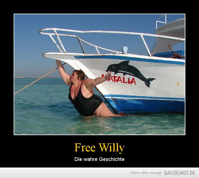 Free Willy – Die wahre Geschichte 