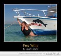 Free Willy – Die wahre Geschichte 