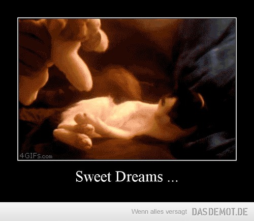 Sweet Dreams ... –  