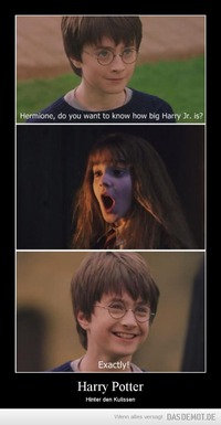 Harry Potter – Hinter den Kulissen 
