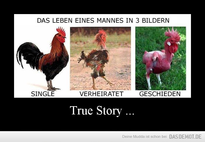 True Story ... –  