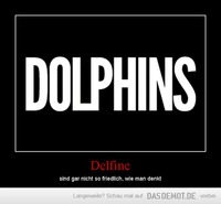 Delfine – sind gar nicht so friedlich, wie man denkt 