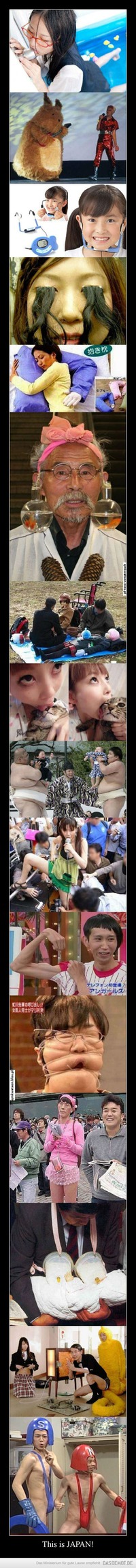 This is JAPAN! –  