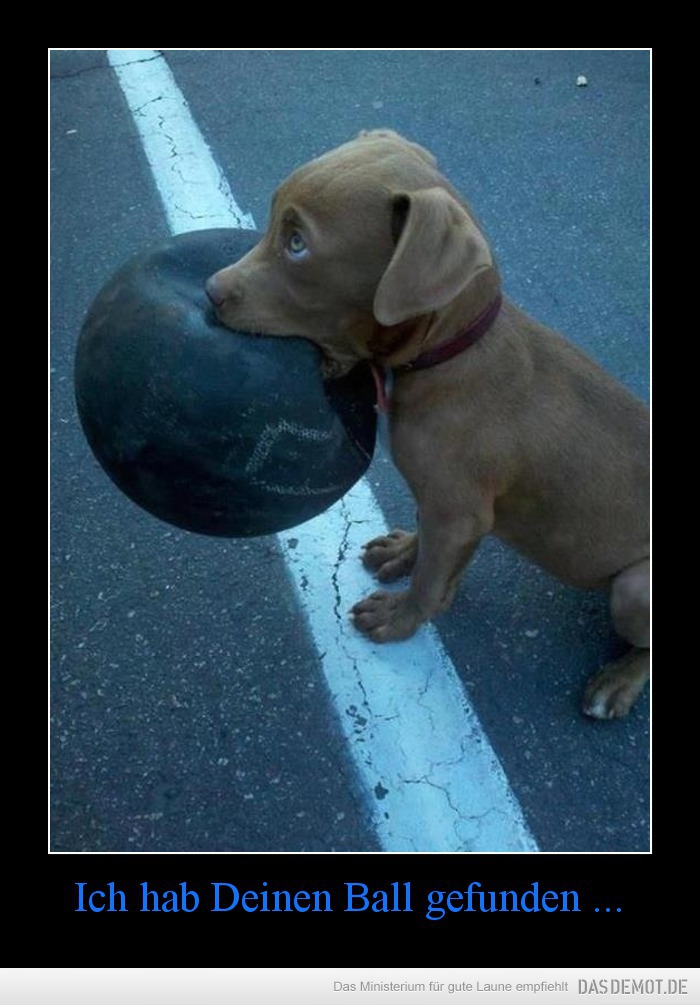 Ich hab Deinen Ball gefunden ... –  