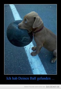 Ich hab Deinen Ball gefunden ... –  