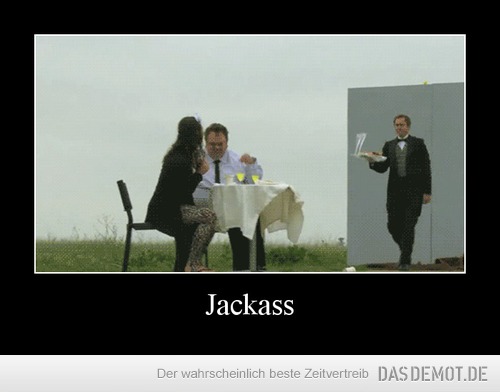 Jackass –  