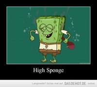 High Sponge –  