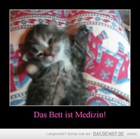 Das Bett ist Medizin! –  