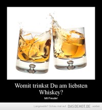 Womit trinkst Du am liebsten Whiskey? – Mit Freude! 
